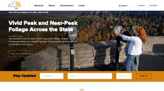 ny.gov screenshot