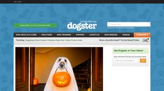 dogster.com logo
